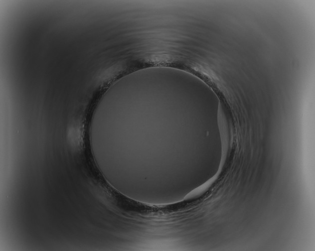 X0000088470735200705291548