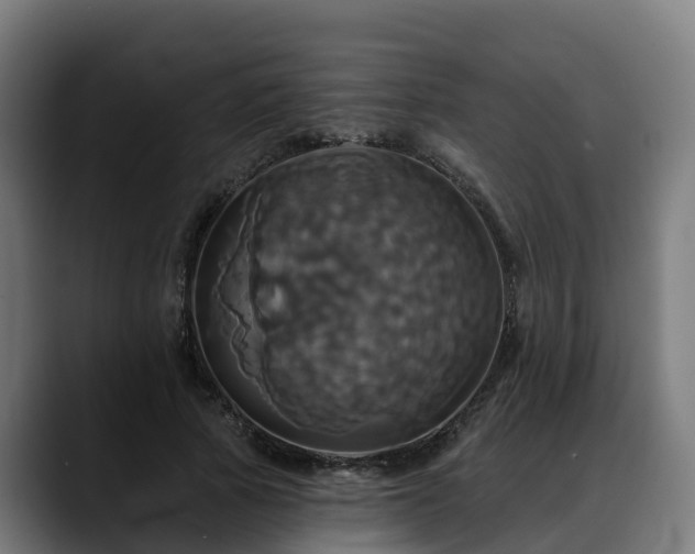 X0000088470737200705291548