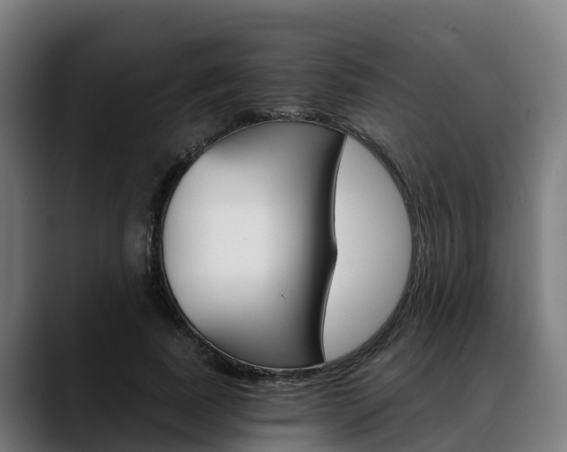 X0000088470739200705291548