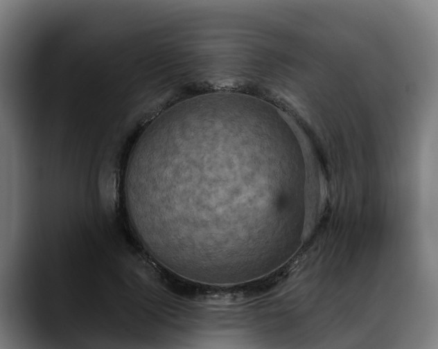 X0000088470740200705291548