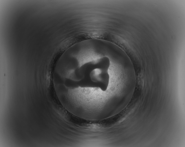 X0000088470741200705291548