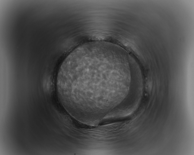 X0000088470743200705291548