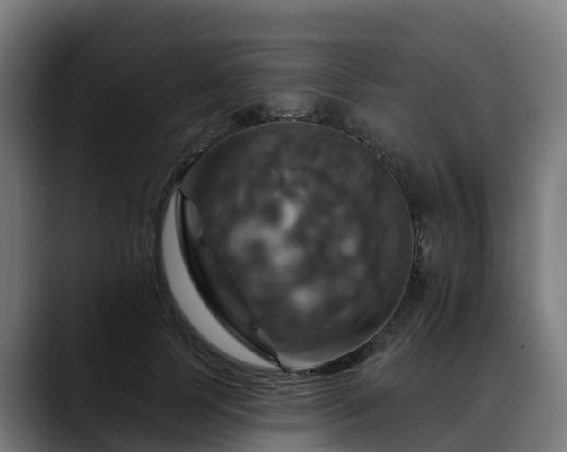 X0000088470745200705291548