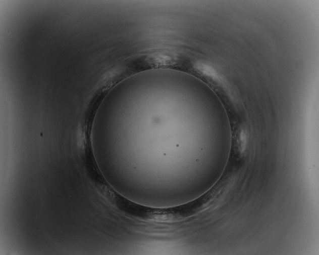 X0000088470746200705291548