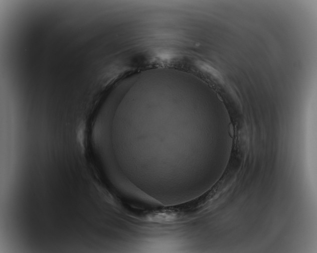 X0000088470750200705291548