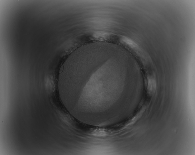 X0000088470751200705291548