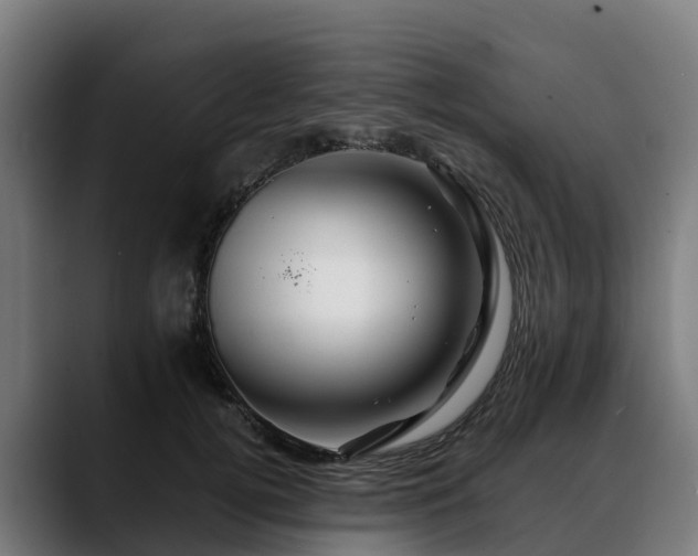 X0000088470752200705291548