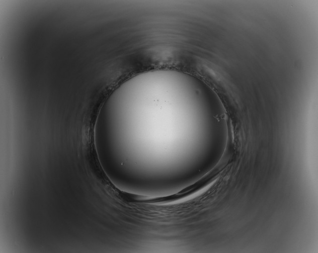 X0000088470756200705291549