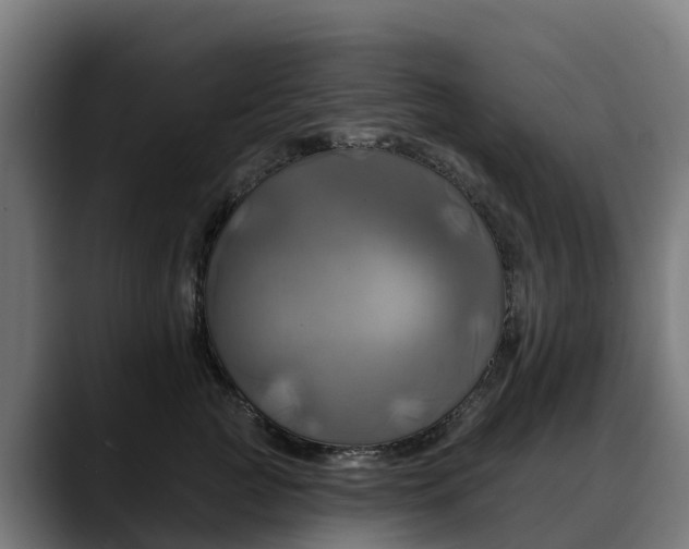 X0000088470761200705291549