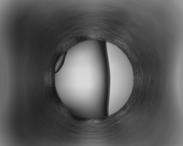 X0000088470762200705291549