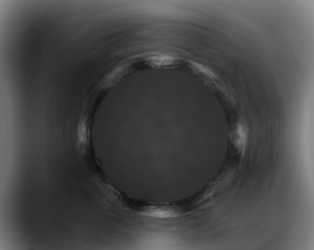 X0000088470763200705291549