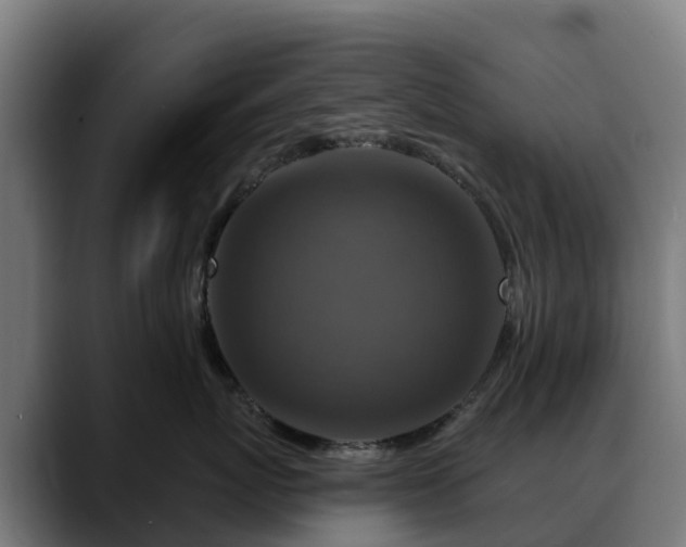 X0000088470767200705291549