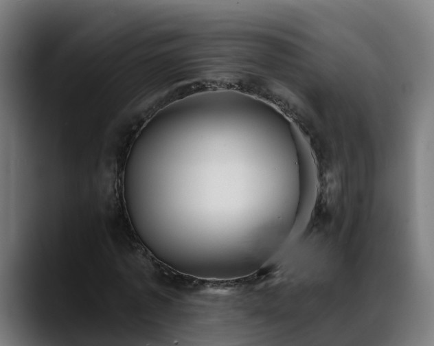 X0000088470773200705291548