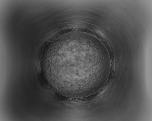 X0000088470774200705291548