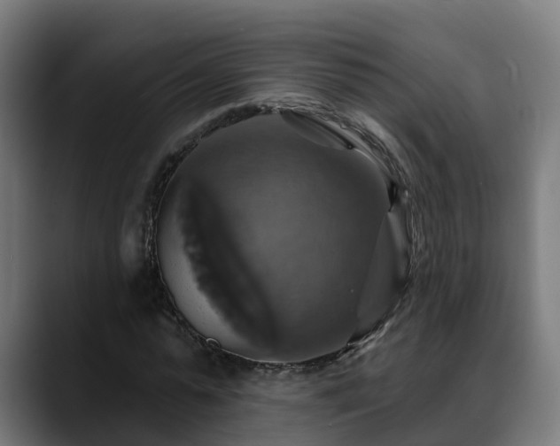 X0000088470775200705291548