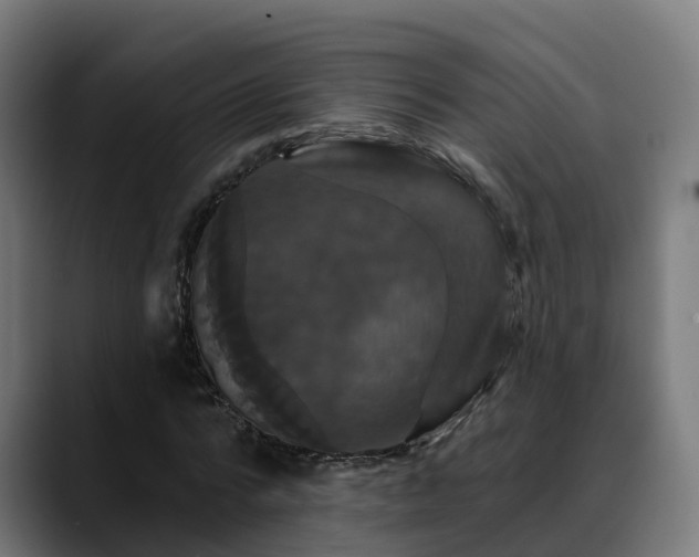 X0000088470776200705291548