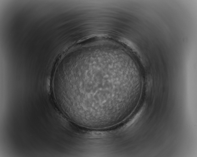 X0000088470777200705291548