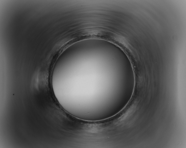 X0000088470778200705291548