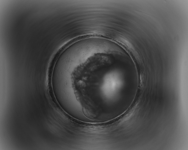 X0000088470780200705291548