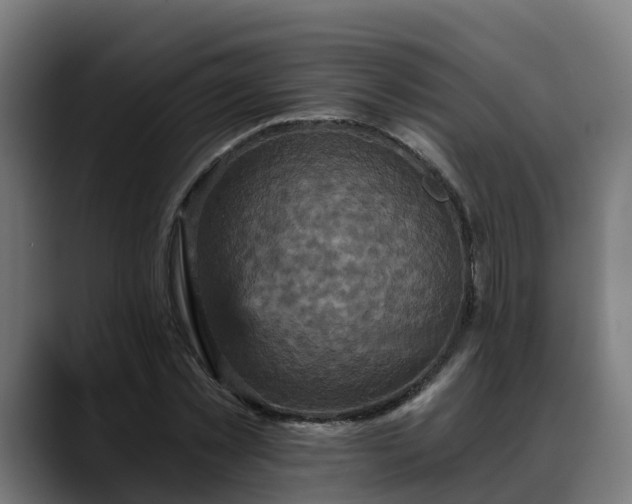 X0000088470781200705291548