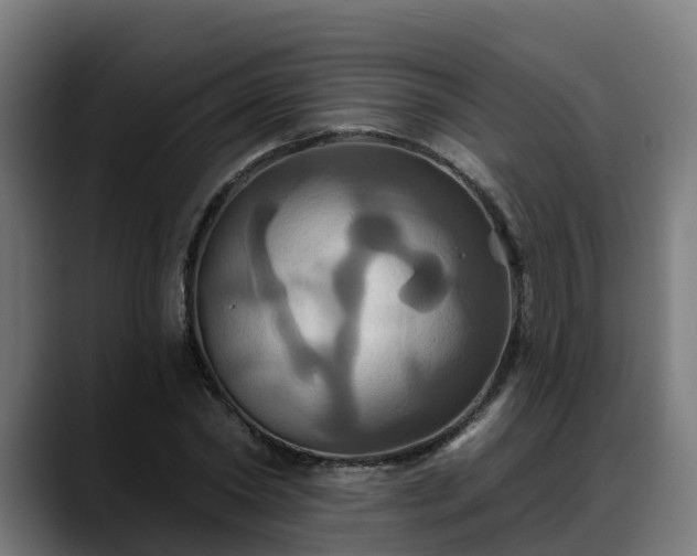 X0000088470782200705291548