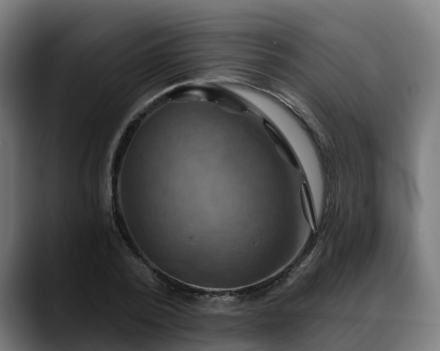 X0000088470784200705291548