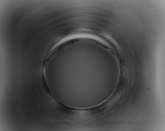 X0000088470785200705291548