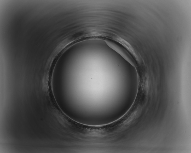 X0000088470786200705291548