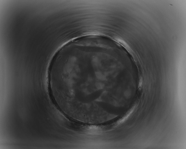 X0000088470787200705291548