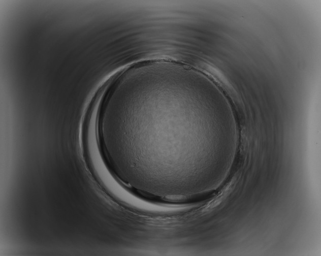 X0000088470788200705291548