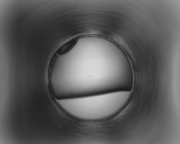 X0000088470789200705291548