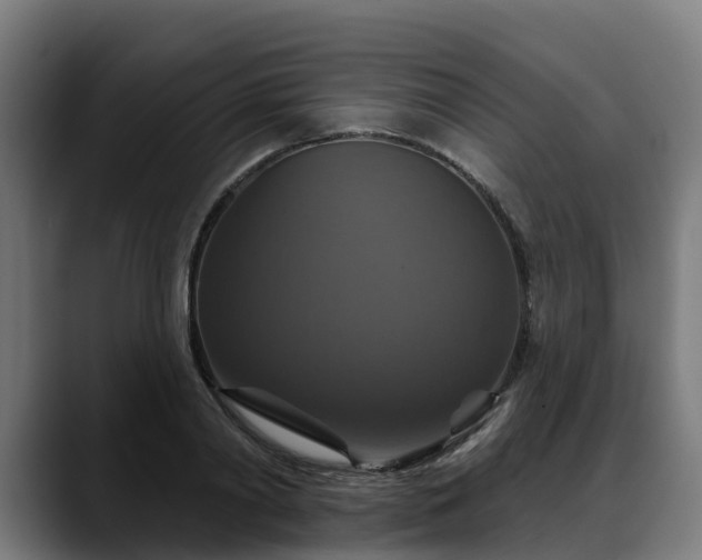 X0000088470790200705291548