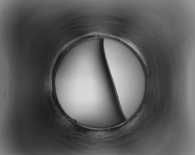 X0000088470791200705291548