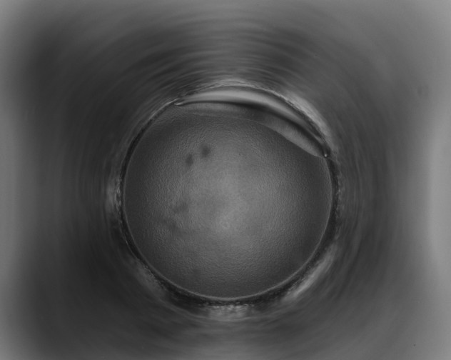 X0000088470793200705291548