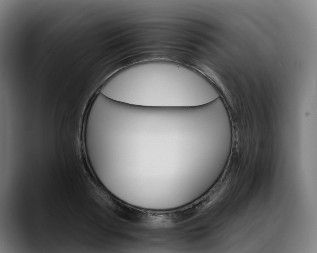 X0000088470794200705291548