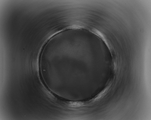 X0000088470795200705291548