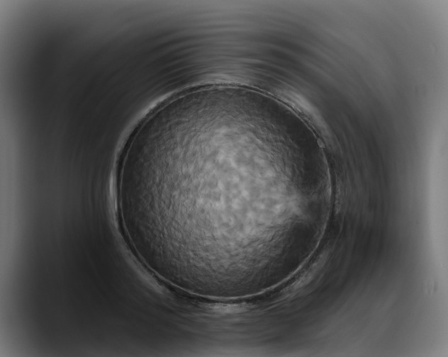 X0000088470796200705291548