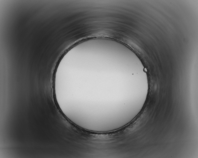 X0000088470800200705291548