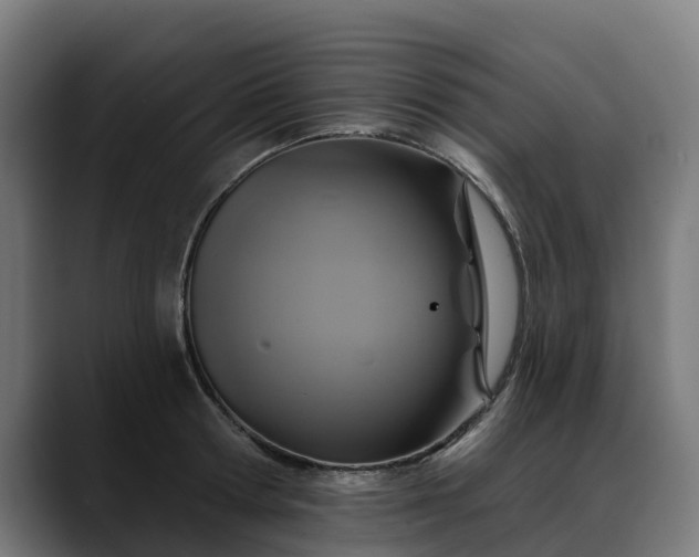 X0000088470802200705291548