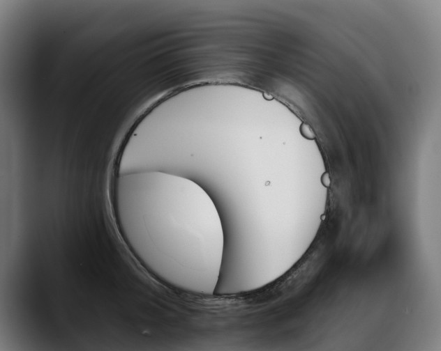 X0000088470804200705291548