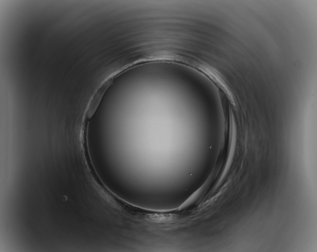 X0000088470805200705291548