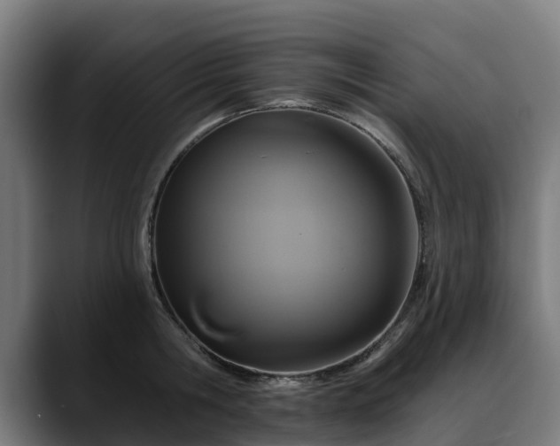 X0000088470806200705291548