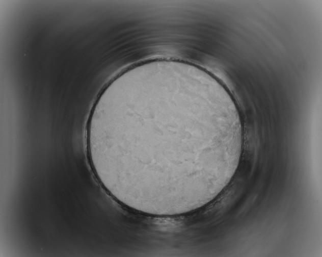 X0000088470807200705291548