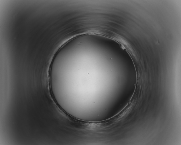 X0000088470808200705291548