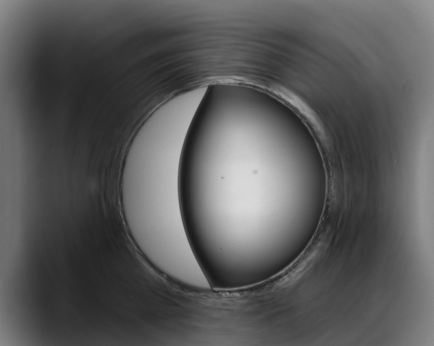 X0000088470809200705291548