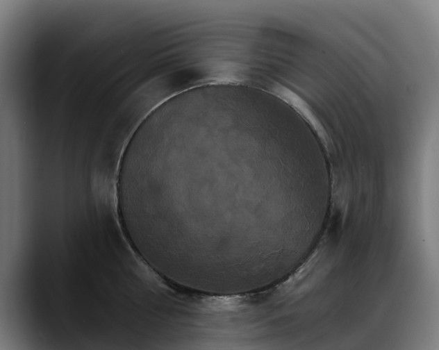 X0000088470810200705291548