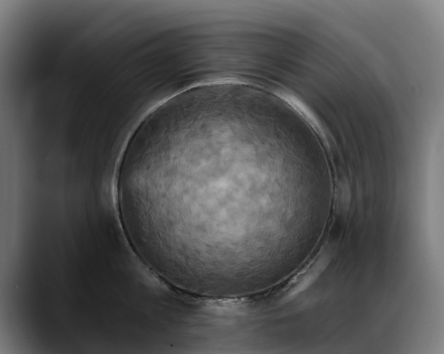 X0000088470813200705291548