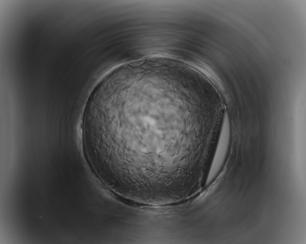 X0000088470814200705291548