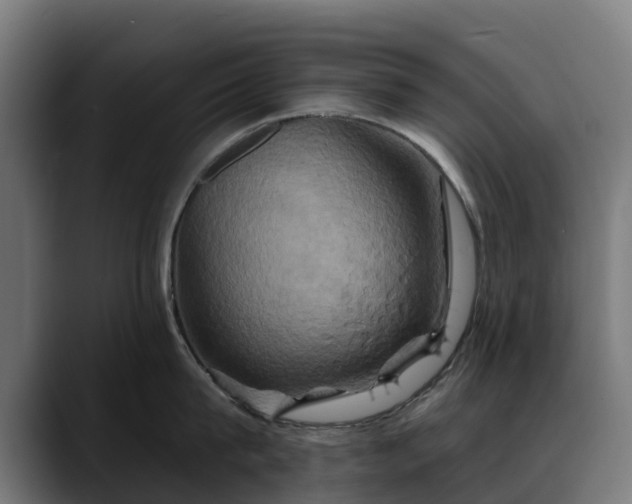 X0000088470815200705291548