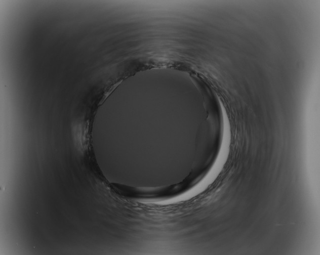 X0000088470818200705291547